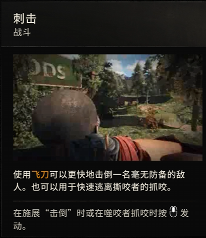 Combat Controls - Image 3