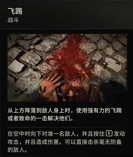 Combat Controls - Image 7